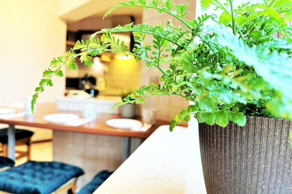 Exclusive Penthouse Near Citycenter 120M2 +Netflix Cracovia Esterno foto